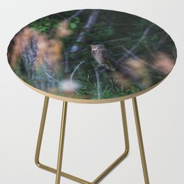 Great Horned Owl Side Table