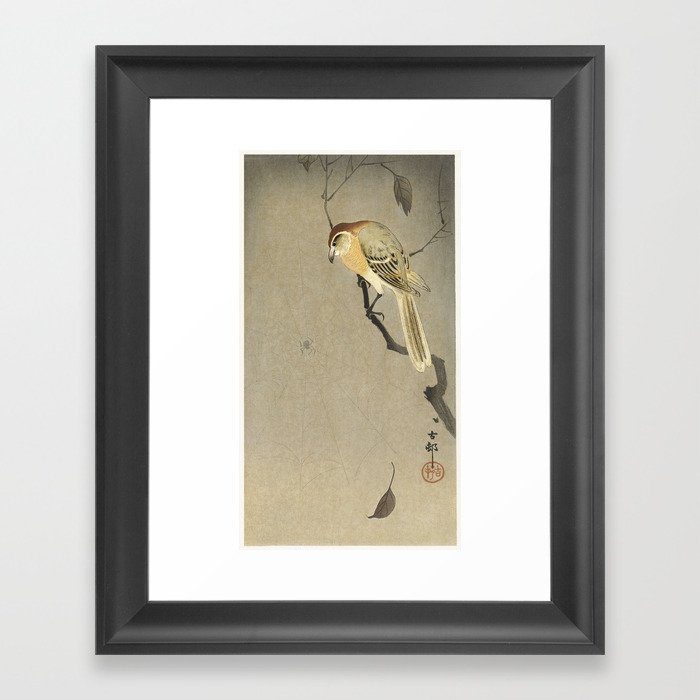 Buffalo wing shrike and spider (1900 - 1930) by Ohara Koson (1877-1945). Framed Art Print