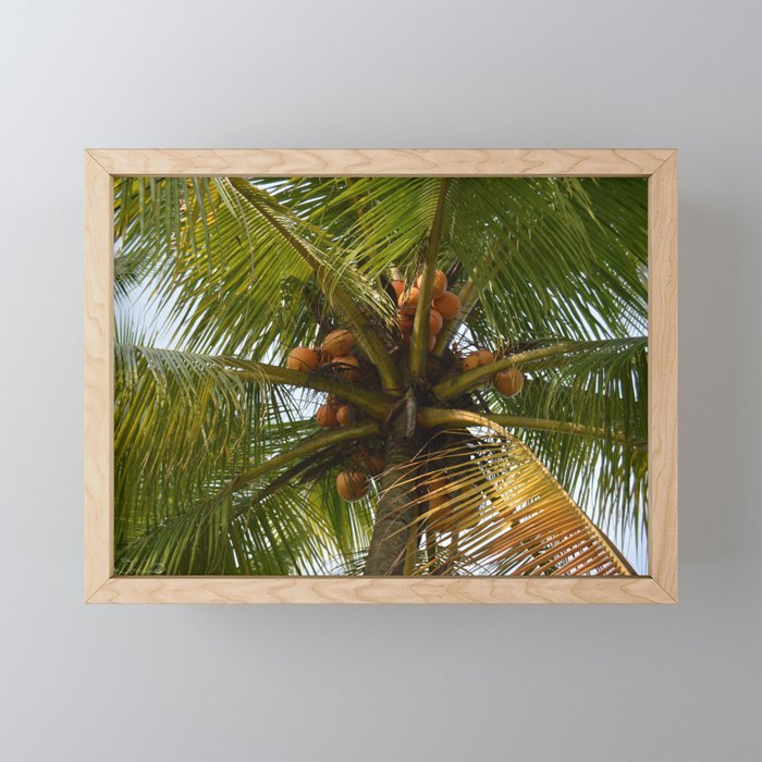 Palm Tree Leaves Framed Mini Art Print