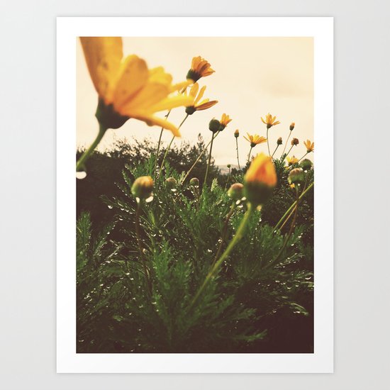 Post-Rain Yellows Art Print