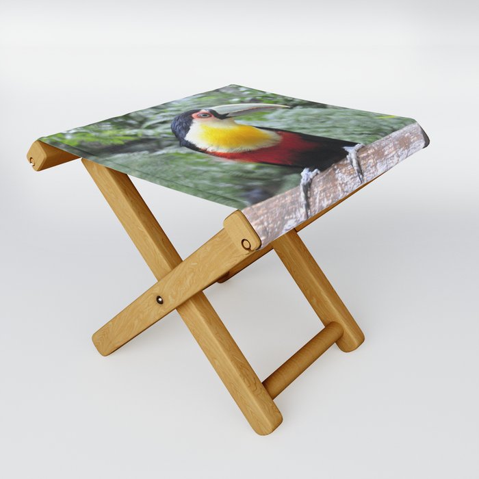 Brazil Photography - Colorful Toucan Sitting On A Branch In The Jungle Folding Stool