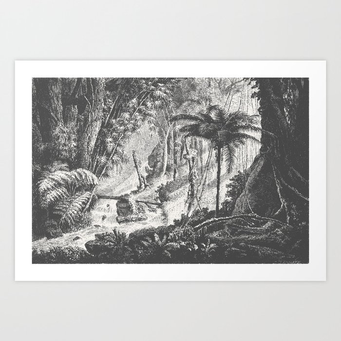 Brazilian Jungle Art Print