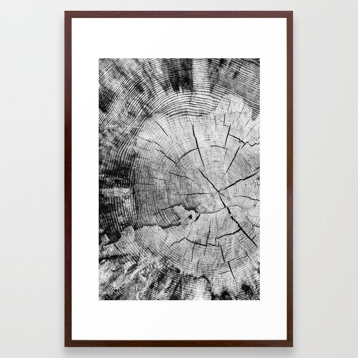 sawed tree texture Framed Art Print