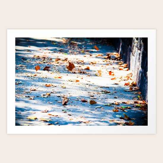 Early Fall Art Print