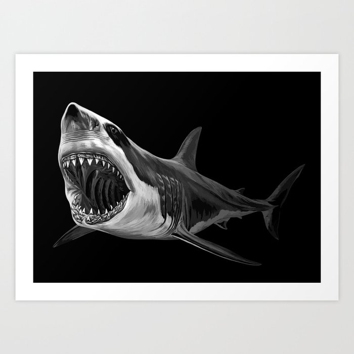 great white shark art