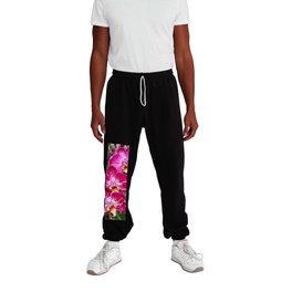 Phalaenopsis Orchids - Burgundy Spotted Sweatpants