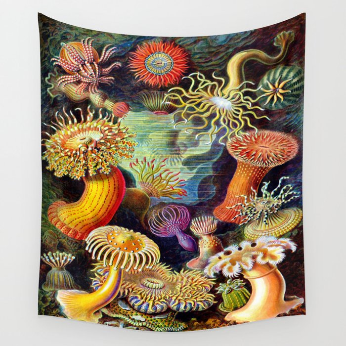 Under the Sea : Sea Anemones (Actiniae) by Ernst Haeckel Wall Tapestry