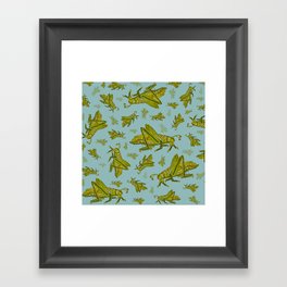 Little Grasshopper Framed Art Print