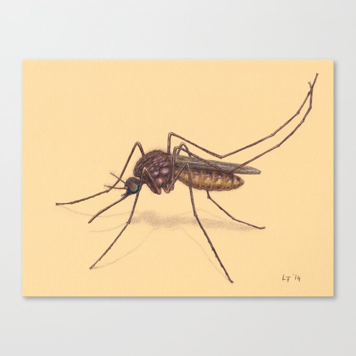 Mosquito by Lars Furtwaengler | Colored Pencil / Pastel Pencil | 2014 Canvas Print