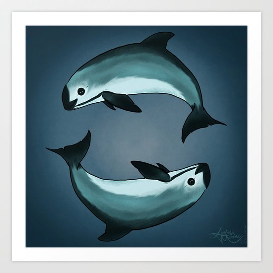 Spiraling ~ Vaquita Porpoise (Critically Endangered) art by Amber Marine, (c) 2015 Art Print