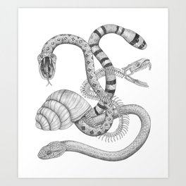 The Snake Snail Art Print