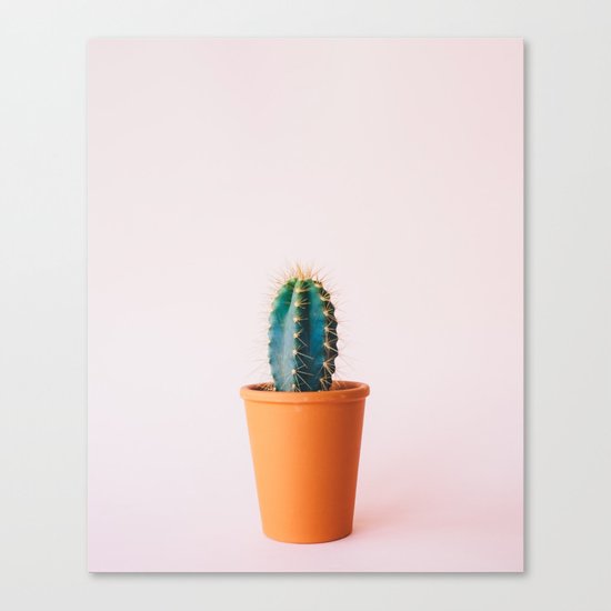 Cactus Canvas Print