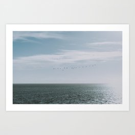 Freedom of birds flying above the Dutch - soft - colored - sea photography Art Print