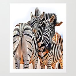 Hugging Zebras Art Print