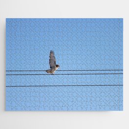 Red Tailed Hawk taking off Jigsaw Puzzle