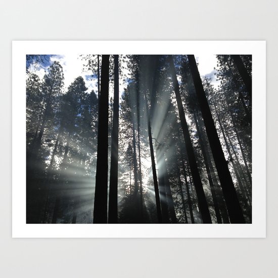 Yosemite National Park, USA Art Print