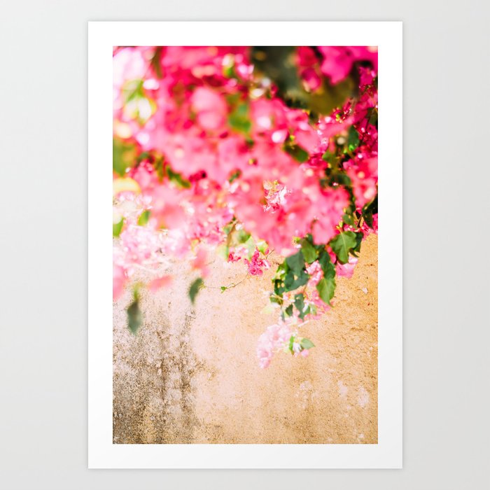 Pink Flowers against Yellow Wall - Floral Summer Botanical Fine Art Photography Art Print