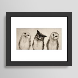 The Owl's 3 Framed Art Print