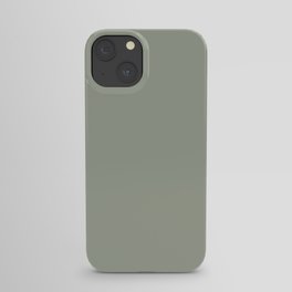 Sage x Simple Color iPhone Case