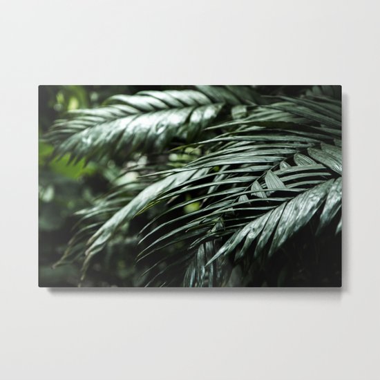 Tropical leaves 03 Metal Print