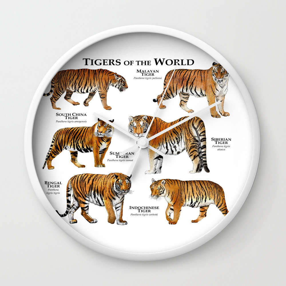 Wildlife Animals Wall Clock 19cm Tiger New & Boxed 