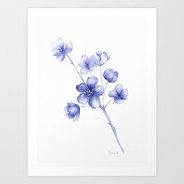 Cherry Blossom - Blue Art Print