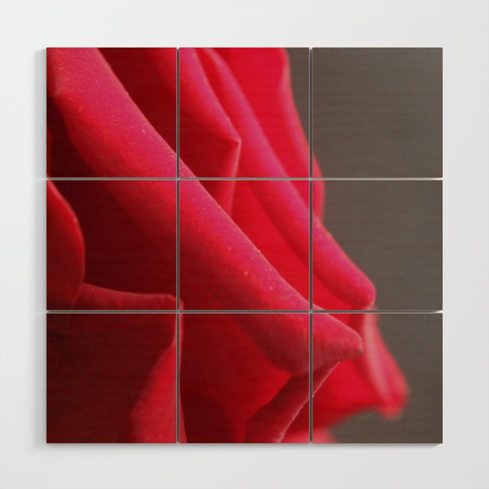 Rose 18 Wood Wall Art