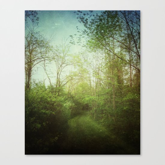 Follow Your Life Path Canvas Print