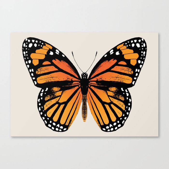 Monarch Butterfly | Vintage Butterfly | Canvas Print