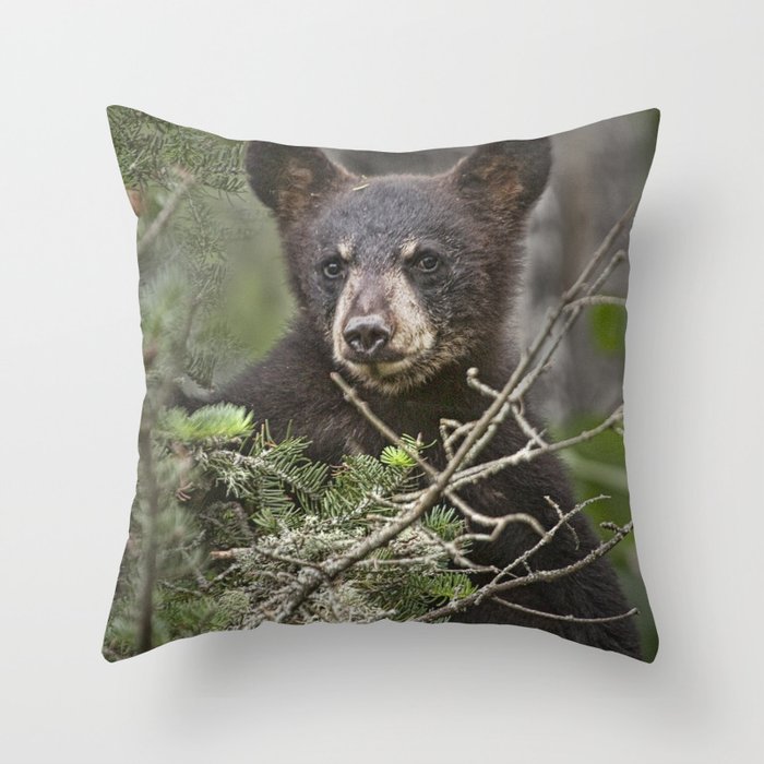 Throw Pillow
