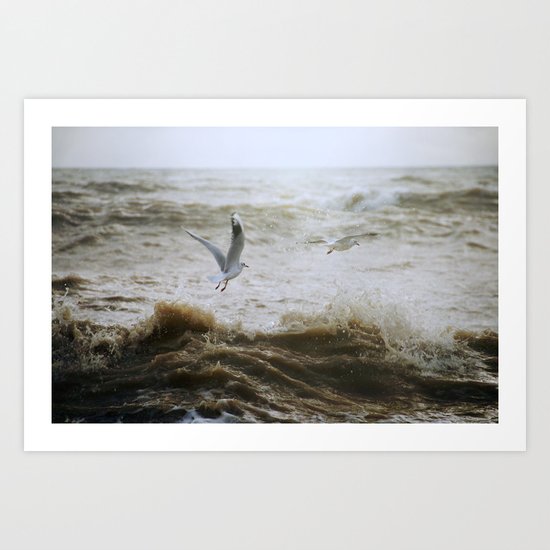 Of wind and waves and flight... Art Print