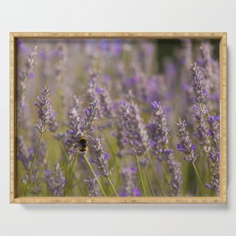 Bumblee in a field of lavender Serving Tray