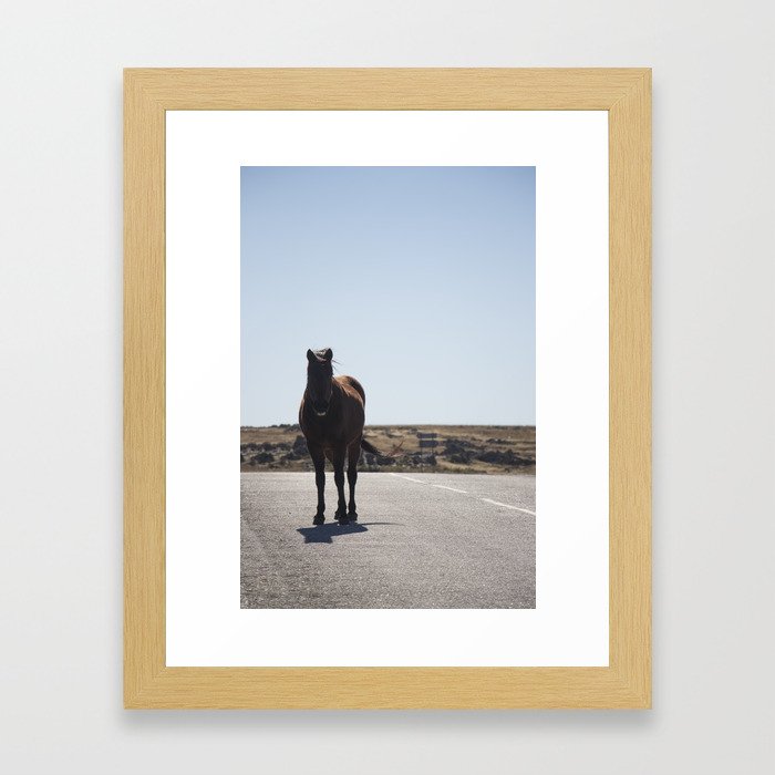 Wild Horse - Road Trip - Equine - Brown Horse - Adventure Wanderlust - Travel Photography Framed Art Print