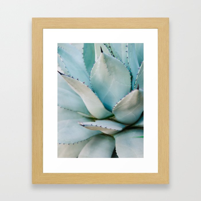 Blue | Aloë Vera Succulent photography print | Soft colored Framed Art Print