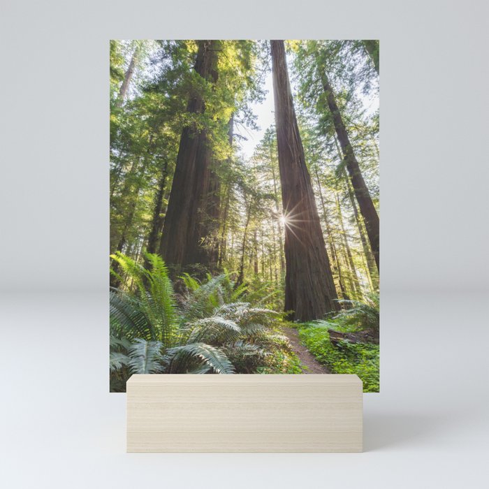 Mini Art Print