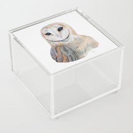 Barn Owl Watercolor Acrylic Box