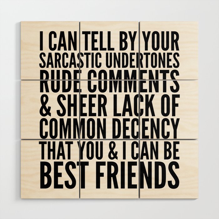 I CAN TELL BY YOUR SARCASTIC UNDERTONES, RUDE COMMENTS... CAN BE BEST FRIENDS Wood Wall Art