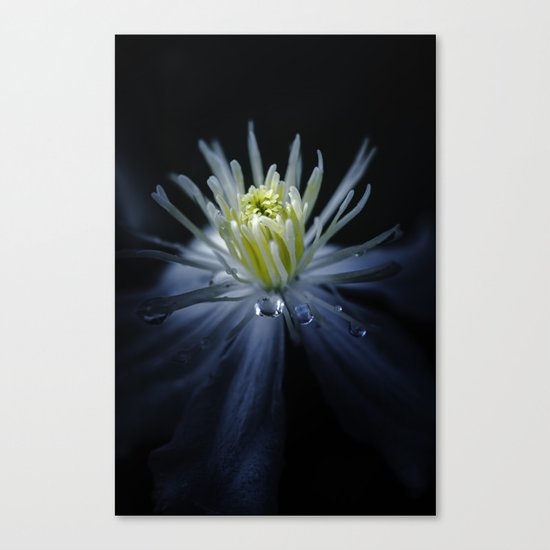 Release me Canvas Print