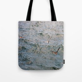 Lunch time in the Gulf Tote Bag