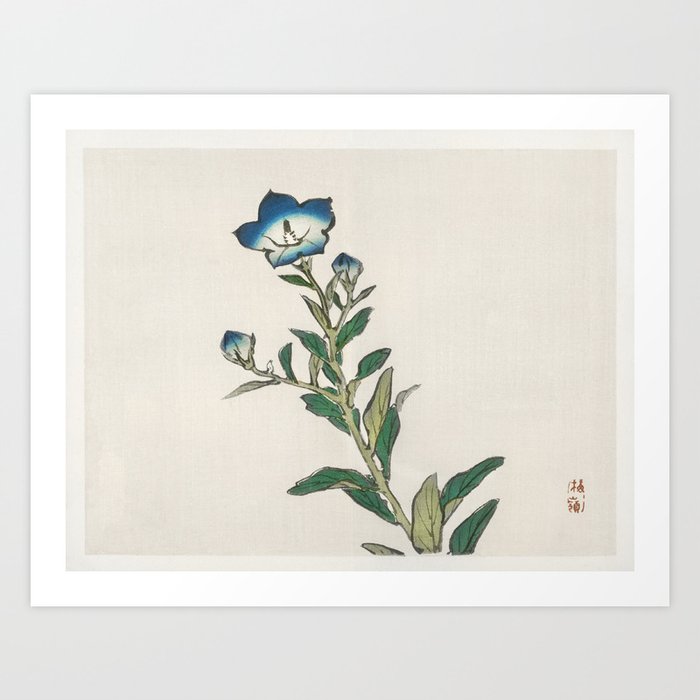 Morning glory by Kōno Bairei (1844-1895). Art Print