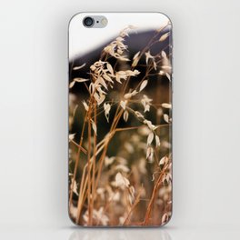 Sonoran Desert Indian Ricegrass iPhone Skin