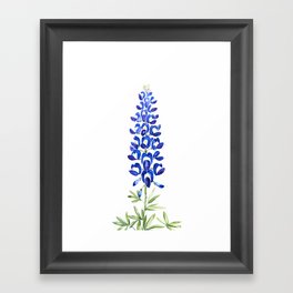 Texas bluebonnet in watercolor Framed Art Print