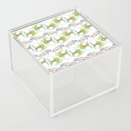 Beetle - Shell Acrylic Box
