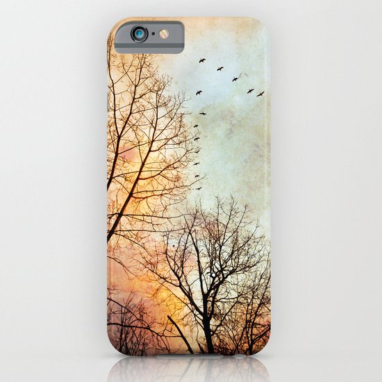 January iPhone & iPod Case