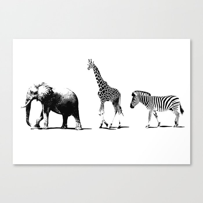 Animal walking  Canvas Print