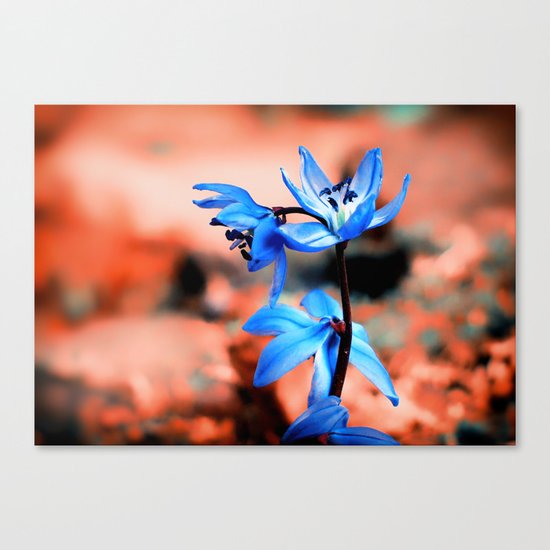 Summer Minds Canvas Print