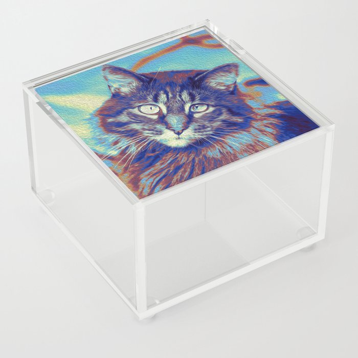 Cats are Art, Zi Acrylic Box