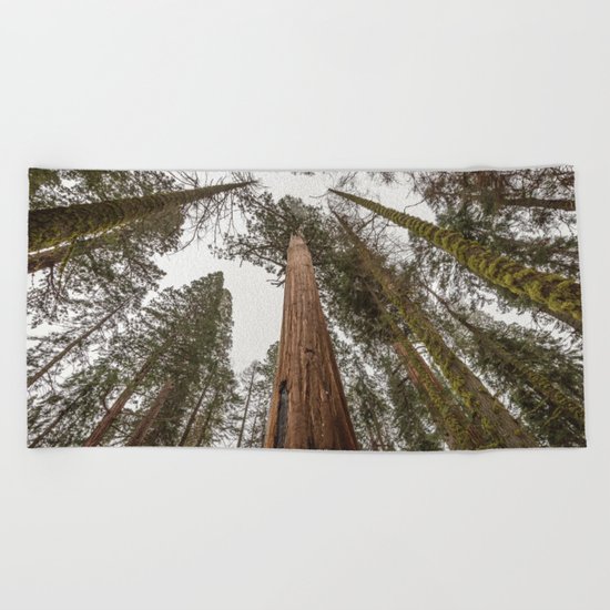 Sequoia Stretch Beach Towel