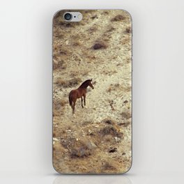 Horse in Santorini iPhone Skin