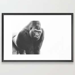 Silverback Gorilla (black + white) Framed Art Print